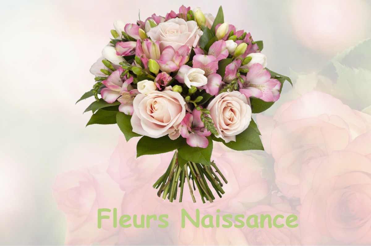 fleurs naissance SAINT-LAURENT-D-ARCE